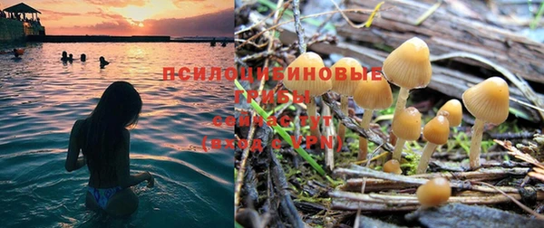 дурь Кулебаки