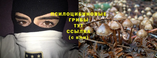 мет Алексин