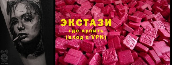 мет Алексин